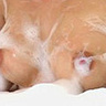 fat lady Pawtucket photo